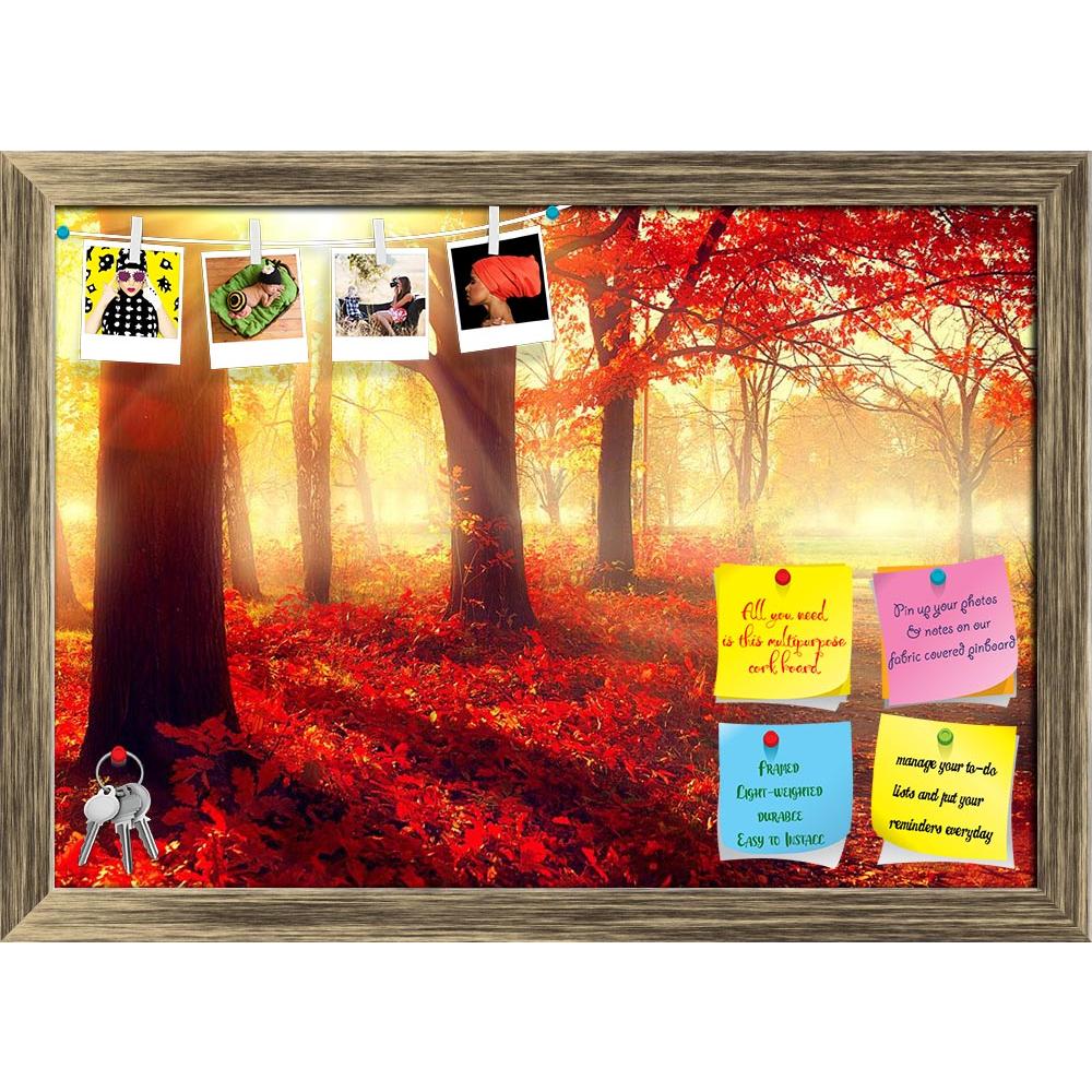 ArtzFolio Old Autumn Forest Printed Bulletin Board Notice Pin Board Soft Board | Framed-Bulletin Boards Framed-AZSAO31397643BLB_FR_L-Image Code 5003788 Vishnu Image Folio Pvt Ltd, IC 5003788, ArtzFolio, Bulletin Boards Framed, Landscapes, Photography, old, autumn, forest, printed, bulletin, board, notice, pin, soft, framed, beautiful, scene, misty, pin up board, push pin board, extra large cork board, big pin board, notice board, small bulletin board, cork board, wall notice board, giant cork board, bulleti