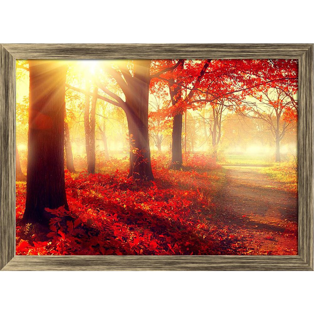 Pitaara Box Old Autumn Forest Canvas Painting Synthetic Frame-Paintings Synthetic Framing-PBART31397643AFF_FW_L-Image Code 5003788 Vishnu Image Folio Pvt Ltd, IC 5003788, Pitaara Box, Paintings Synthetic Framing, Landscapes, Photography, old, autumn, forest, canvas, painting, synthetic, frame, beautiful, scene, misty, framed canvas print, wall painting for living room with frame, canvas painting for living room, artzfolio, poster, framed canvas painting, wall painting with frame, canvas painting with frame 