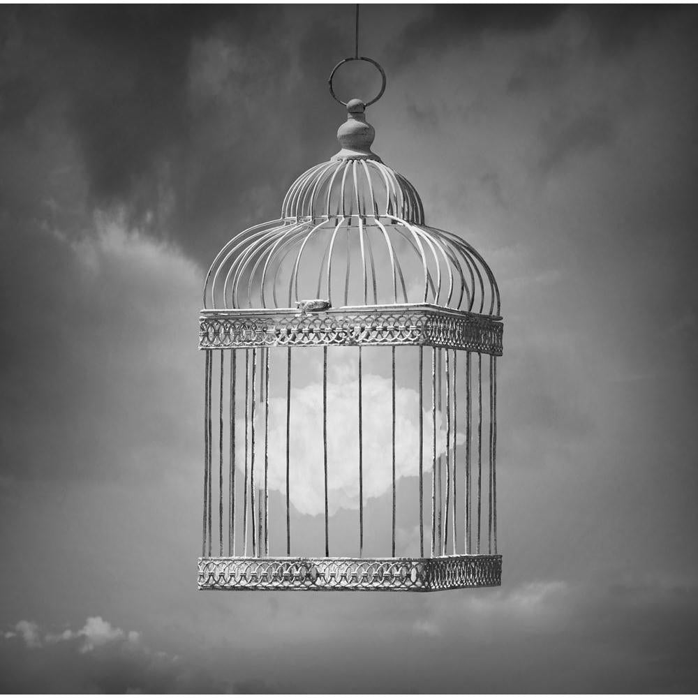 Cloud Inside A Cage Canvas Painting Synthetic Frame-Paintings MDF Framing-AFF_FR-IC 5003797 IC 5003797, Art and Paintings, Black, Black and White, Conceptual, Illustrations, Realism, Surrealism, White, cloud, inside, a, cage, canvas, painting, synthetic, frame, art, artistic, aviary, bar, beautiful, capture, concept, dream, dreamy, elegant, gray, grey, illustration, illustrative, image, imagination, mind, nobody, object, poetic, psyche, psychology, sky, surreal, surrealistic, unique, uniqueness, vertical, a