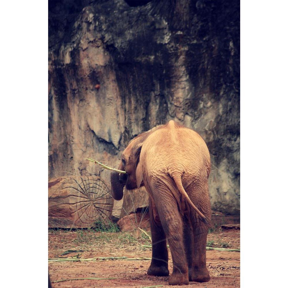 ArtzFolio Baby Elephant Unframed Paper Poster-Paper Posters Unframed-AZART31628598POS_UN_L-Image Code 5003812 Vishnu Image Folio Pvt Ltd, IC 5003812, ArtzFolio, Paper Posters Unframed, Animals, Photography, baby, elephant, unframed, paper, poster, wall, large, size, for, living, room, home, decoration, big, framed, decor, posters, pitaara, box, modern, art, with, frame, bedroom, amazonbasics, door, drawing, small, decorative, office, reception, multiple, friends, images, reprints, reprint, kids, bathroom, d