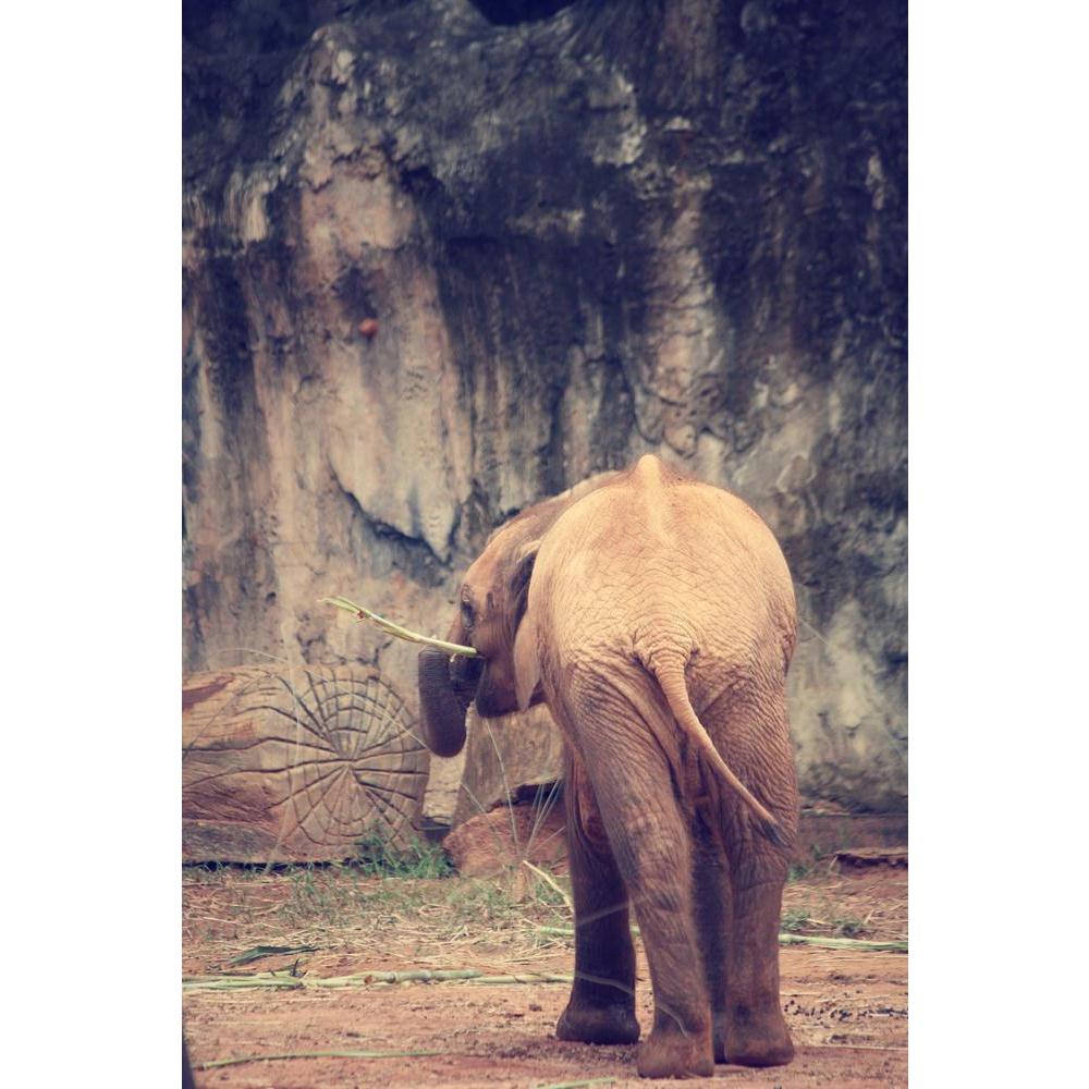 Baby Elephant Canvas Painting Synthetic Frame-Paintings MDF Framing-AFF_FR-IC 5003812 IC 5003812, African, Animals, Asian, Baby, Children, Family, Kids, Nature, Scenic, Sports, Wildlife, elephant, canvas, painting, synthetic, frame, africa, animal, asia, beautiful, beauty, big, calf, cute, ears, endangered, game, grey, large, mammal, mom, mother, national, park, reserve, safari, small, south, together, trunk, walking, wild, wilderness, young, artzfolio, wall decor for living room, wall frames for living roo