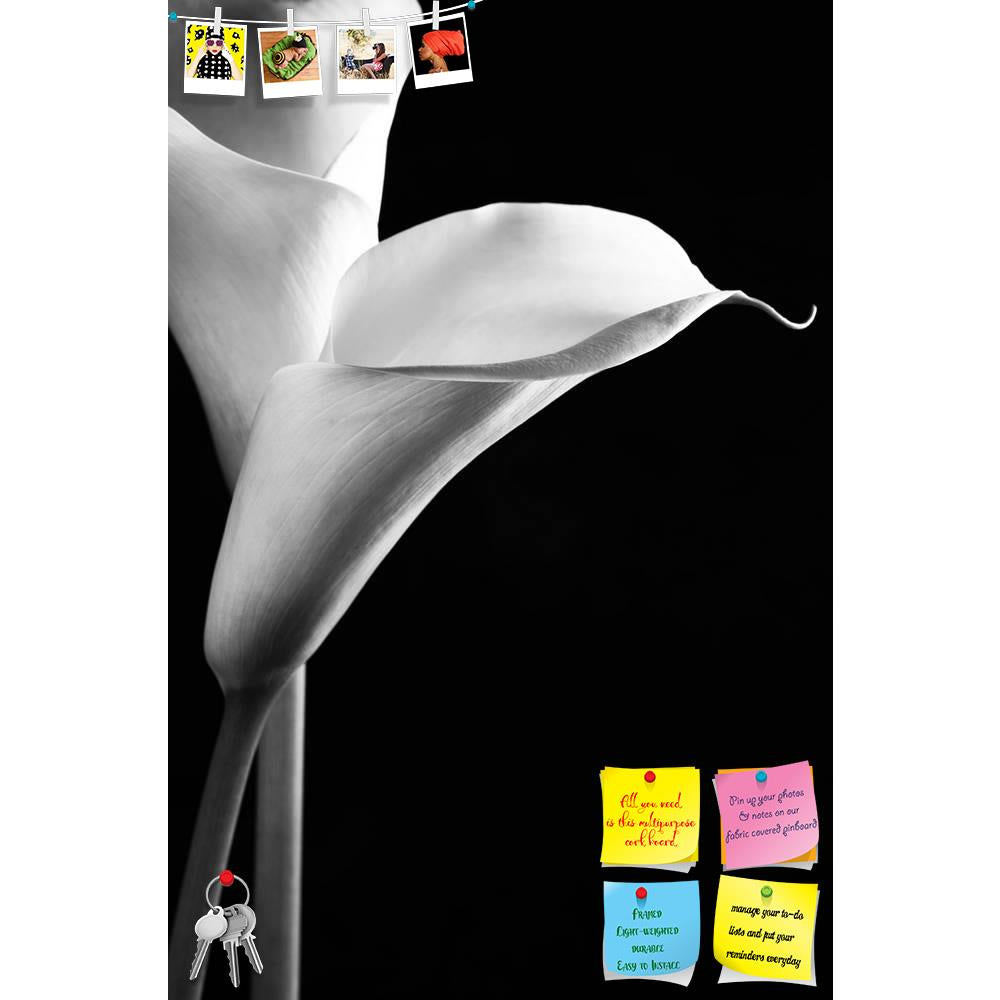 ArtzFolio Calla Lilies Printed Bulletin Board Notice Pin Board Soft Board | Frameless-Bulletin Boards Frameless-AZSAO31630016BLB_FL_L-Image Code 5003814 Vishnu Image Folio Pvt Ltd, IC 5003814, ArtzFolio, Bulletin Boards Frameless, Floral, Photography, calla, lilies, printed, bulletin, board, notice, pin, soft, frameless, close-up, black, background, monochrome, image, aethiopica, bloom, blossom, botany, bw, copy, space, curled, elegance, elegant, flora, flower, flowers, fragile, fragility, freshness, grace,