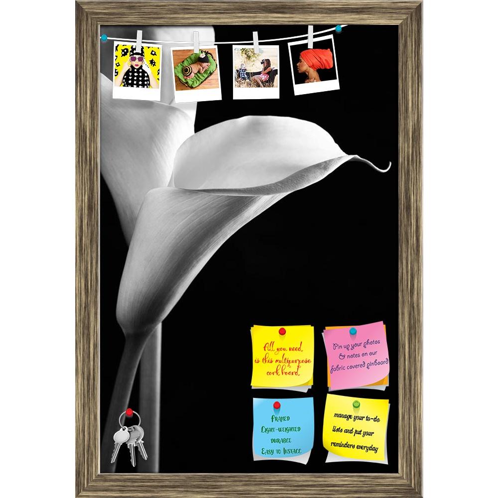 ArtzFolio Calla Lilies Printed Bulletin Board Notice Pin Board Soft Board | Framed-Bulletin Boards Framed-AZSAO31630016BLB_FR_L-Image Code 5003814 Vishnu Image Folio Pvt Ltd, IC 5003814, ArtzFolio, Bulletin Boards Framed, Floral, Photography, calla, lilies, printed, bulletin, board, notice, pin, soft, framed, close-up, black, background, monochrome, image, aethiopica, bloom, blossom, botany, bw, copy, space, curled, elegance, elegant, flora, flower, flowers, fragile, fragility, freshness, grace, head, innoc
