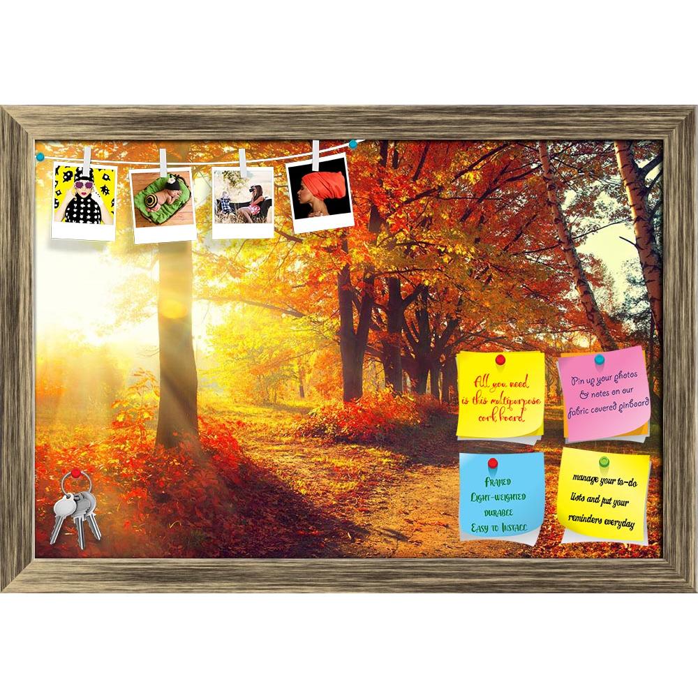 ArtzFolio Autumnal Trees In Sun Rays D1 Printed Bulletin Board Notice Pin Board Soft Board | Framed-Bulletin Boards Framed-AZSAO31807522BLB_FR_L-Image Code 5003829 Vishnu Image Folio Pvt Ltd, IC 5003829, ArtzFolio, Bulletin Boards Framed, Landscapes, Photography, autumnal, trees, in, sun, rays, d1, printed, bulletin, board, notice, pin, soft, framed, fall, autumn, park, leaves, pin up board, push pin board, extra large cork board, big pin board, notice board, small bulletin board, cork board, wall notice bo