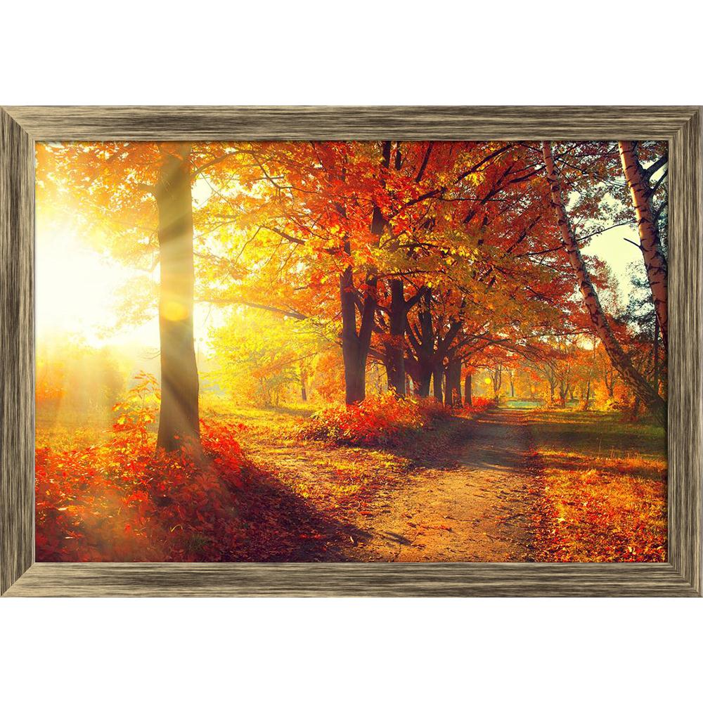Pitaara Box Autumnal Trees In Sun Rays D1 Canvas Painting Synthetic Frame-Paintings Synthetic Framing-PBART31807522AFF_FW_L-Image Code 5003829 Vishnu Image Folio Pvt Ltd, IC 5003829, Pitaara Box, Paintings Synthetic Framing, Landscapes, Photography, autumnal, trees, in, sun, rays, d1, canvas, painting, synthetic, frame, fall, autumn, park, leaves, framed canvas print, wall painting for living room with frame, canvas painting for living room, artzfolio, poster, framed canvas painting, wall painting with fram