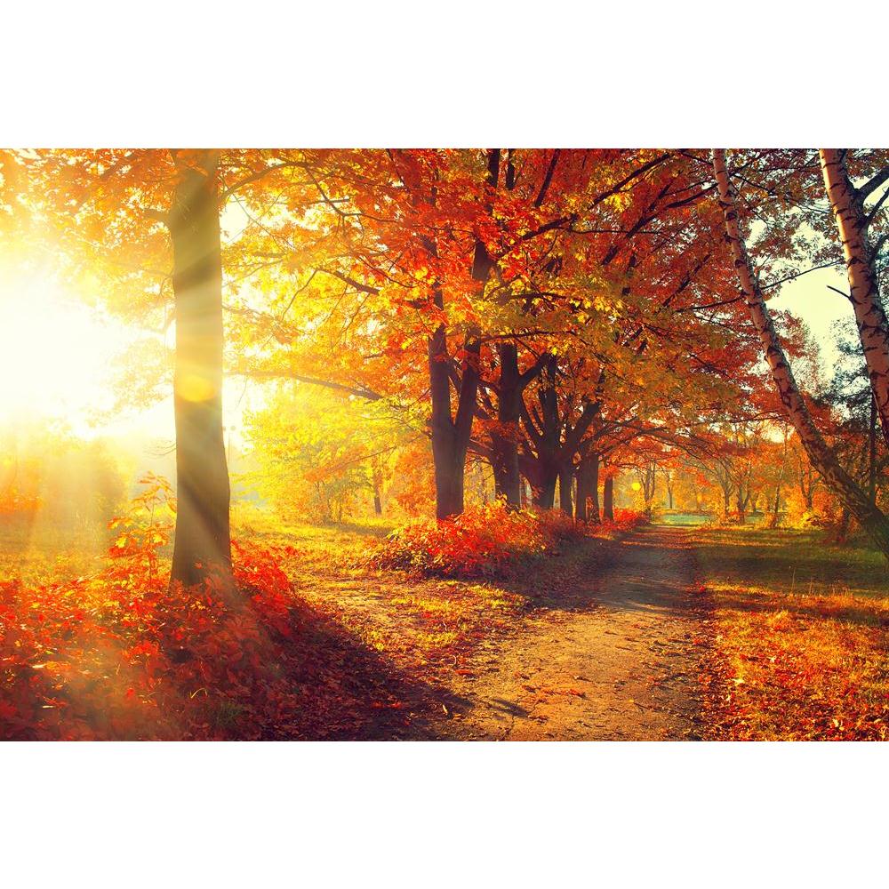 Autumnal Trees In Sun Rays Canvas Painting Synthetic Frame-Paintings MDF Framing-AFF_FR-IC 5003829 IC 5003829, Art and Paintings, Landscapes, Nature, Scenic, Seasons, Sunrises, Sunsets, Wooden, autumnal, trees, in, sun, rays, canvas, painting, synthetic, frame, landscape, autumn, fall, sunset, forest, tree, sunrise, leaves, sunlight, foliage, colors, scene, season, herbst, sunshine, park, paisaje, bosque, beautiful, jungle, art, beauty, bright, brown, calm, calmness, color, colorful, colour, colourful, envi