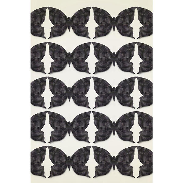 Black Butterflies Unframed Paper Poster-Paper Posters Unframed-POS_UN-IC 5003838 IC 5003838, Abstract Expressionism, Abstracts, Art and Paintings, Black, Black and White, Conceptual, Decorative, Digital, Digital Art, Fantasy, Geometric, Geometric Abstraction, Gothic, Graphic, Illustrations, Modern Art, Semi Abstract, Surrealism, butterflies, unframed, paper, wall, poster, abstract, art, artistic, background, beautiful, butterfly, concept, contemporary, creativity, dark, decoration, detail, effect, elegant, 