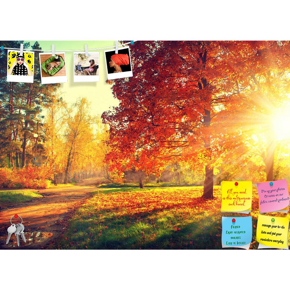 ArtzFolio Autumn Scene Printed Bulletin Board Notice Pin Board Soft Board | Frameless-Bulletin Boards Frameless-AZSAO31937235BLB_FL_L-Image Code 5003840 Vishnu Image Folio Pvt Ltd, IC 5003840, ArtzFolio, Bulletin Boards Frameless, Landscapes, Photography, autumn, scene, printed, bulletin, board, notice, pin, soft, frameless, fall, trees, leaves, sun, light, pin up board, push pin board, extra large cork board, big pin board, notice board, small bulletin board, cork board, wall notice board, giant cork board