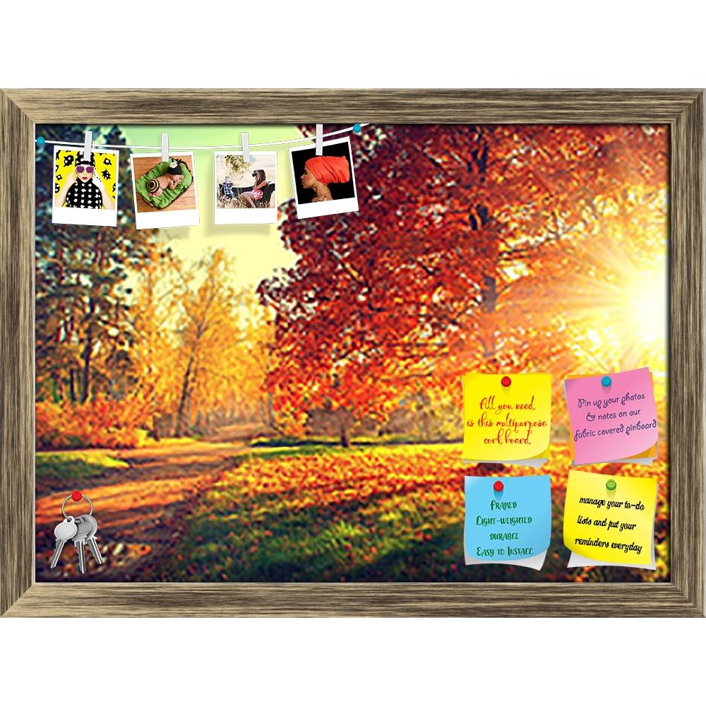 ArtzFolio Autumn Scene Printed Bulletin Board Notice Pin Board Soft Board | Framed-Bulletin Boards Framed-AZSAO31937235BLB_FR_L-Image Code 5003840 Vishnu Image Folio Pvt Ltd, IC 5003840, ArtzFolio, Bulletin Boards Framed, Landscapes, Photography, autumn, scene, printed, bulletin, board, notice, pin, soft, framed, fall, trees, leaves, sun, light, pin up board, push pin board, extra large cork board, big pin board, notice board, small bulletin board, cork board, wall notice board, giant cork board, bulletin b