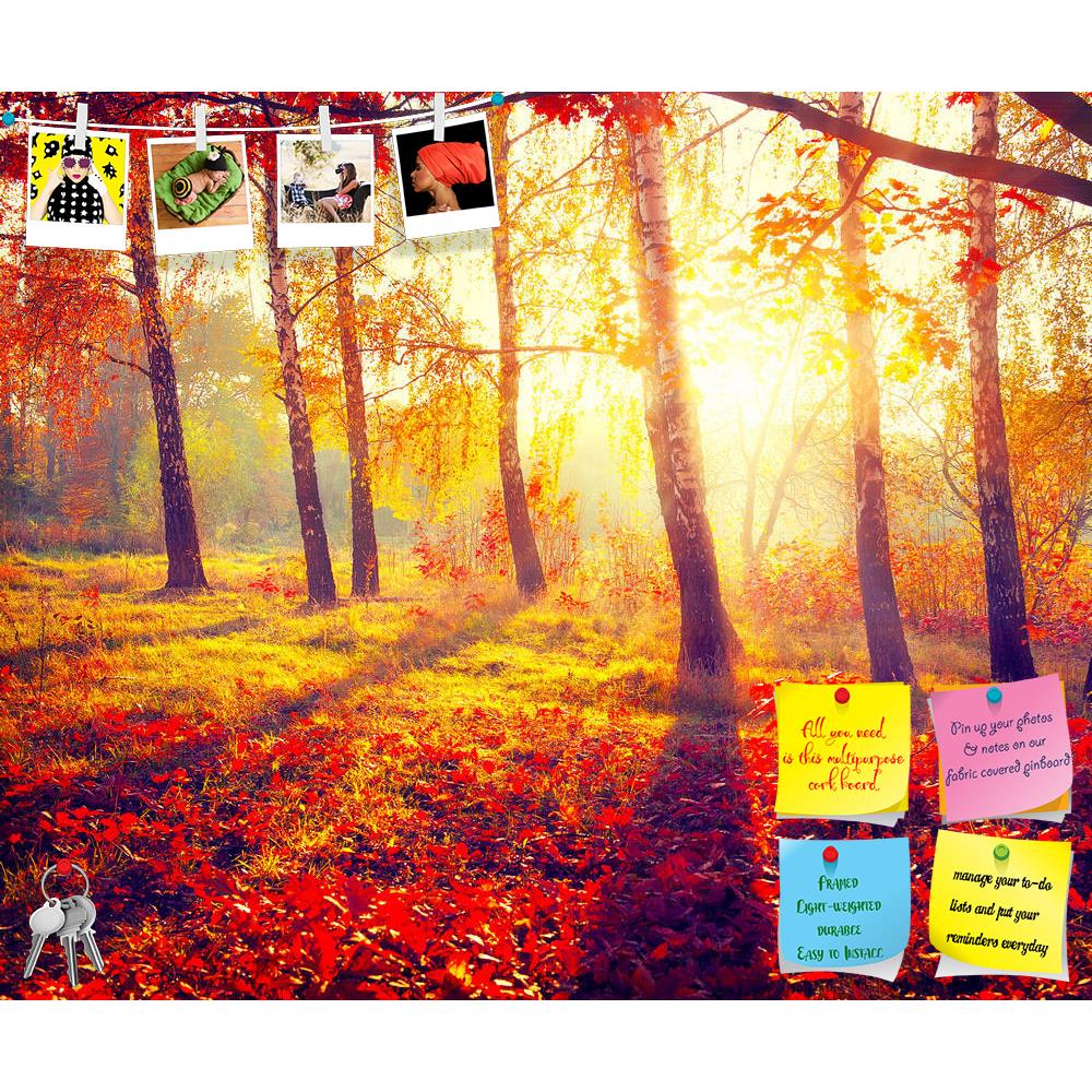 ArtzFolio Autumnal Trees In Sun Rays D2 Printed Bulletin Board Notice Pin Board Soft Board | Frameless-Bulletin Boards Frameless-AZSAO32076652BLB_FL_L-Image Code 5003845 Vishnu Image Folio Pvt Ltd, IC 5003845, ArtzFolio, Bulletin Boards Frameless, Landscapes, Photography, autumnal, trees, in, sun, rays, d2, printed, bulletin, board, notice, pin, soft, frameless, park, autumn, leaves, pin up board, push pin board, extra large cork board, big pin board, notice board, small bulletin board, cork board, wall not