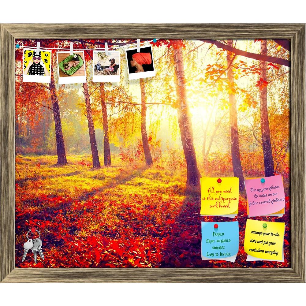 ArtzFolio Autumnal Trees In Sun Rays D2 Printed Bulletin Board Notice Pin Board Soft Board | Framed-Bulletin Boards Framed-AZSAO32076652BLB_FR_L-Image Code 5003845 Vishnu Image Folio Pvt Ltd, IC 5003845, ArtzFolio, Bulletin Boards Framed, Landscapes, Photography, autumnal, trees, in, sun, rays, d2, printed, bulletin, board, notice, pin, soft, framed, park, autumn, leaves, pin up board, push pin board, extra large cork board, big pin board, notice board, small bulletin board, cork board, wall notice board, g