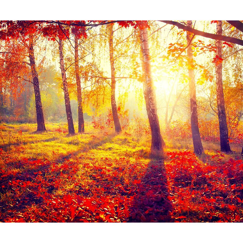 Autumnal Trees In Sun Rays Canvas Painting Synthetic Frame-Paintings MDF Framing-AFF_FR-IC 5003845 IC 5003845, Landscapes, Nature, Scenic, Seasons, Sunrises, Sunsets, Wooden, autumnal, trees, in, sun, rays, canvas, painting, synthetic, frame, autumn, landscape, maple, scene, forest, sunset, beautiful, bright, brown, calm, calmness, color, colorful, colour, colourful, environment, evening, fall, foliage, fresh, golden, green, leaf, leaves, light, morning, natural, oak, orange, outdoor, outside, park, plant, 