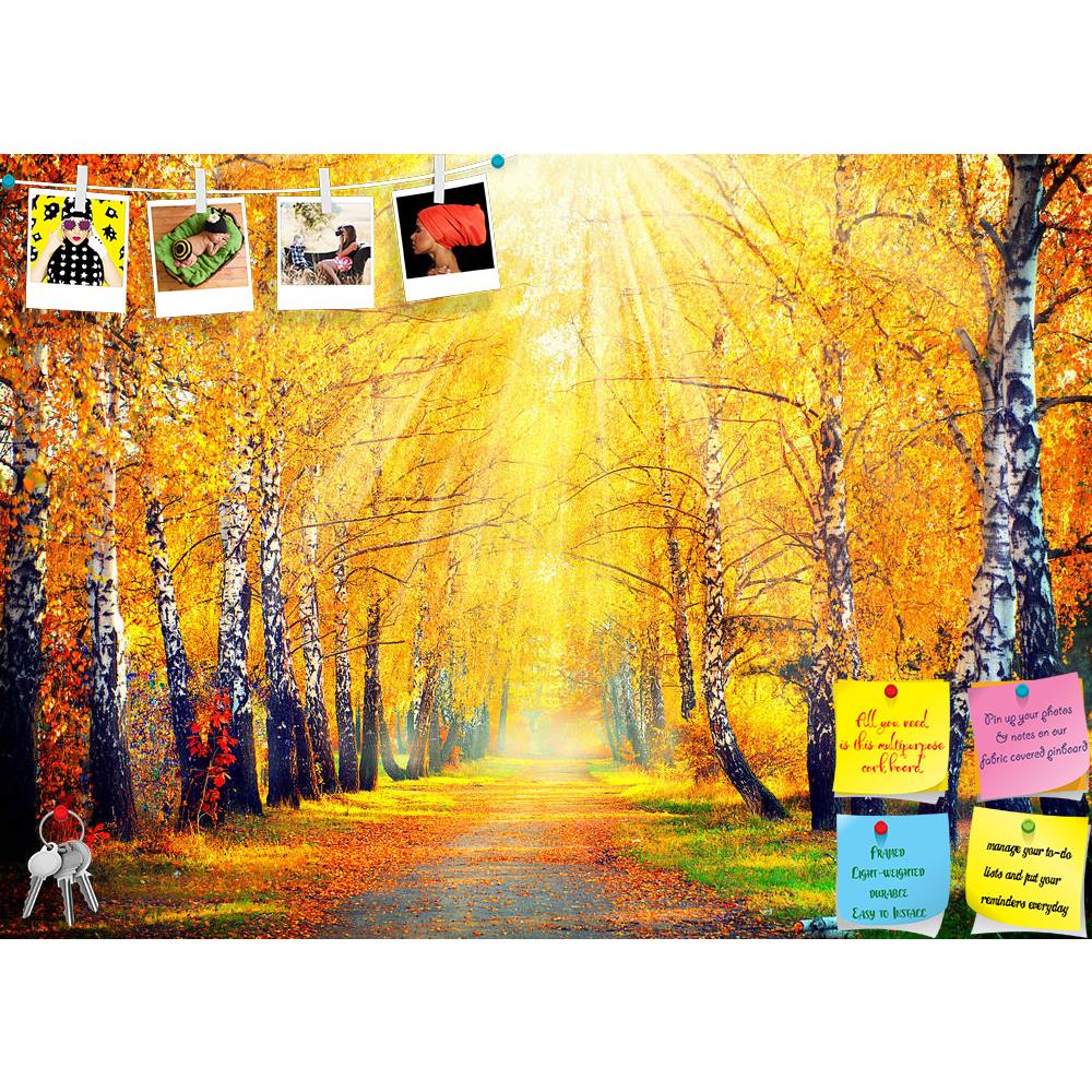 ArtzFolio Autumnal Trees In Sun Rays D3 Printed Bulletin Board Notice Pin Board Soft Board | Frameless-Bulletin Boards Frameless-AZSAO32077041BLB_FL_L-Image Code 5003846 Vishnu Image Folio Pvt Ltd, IC 5003846, ArtzFolio, Bulletin Boards Frameless, Landscapes, Photography, autumnal, trees, in, sun, rays, d3, printed, bulletin, board, notice, pin, soft, frameless, park, autumn, leaves, pin up board, push pin board, extra large cork board, big pin board, notice board, small bulletin board, cork board, wall not