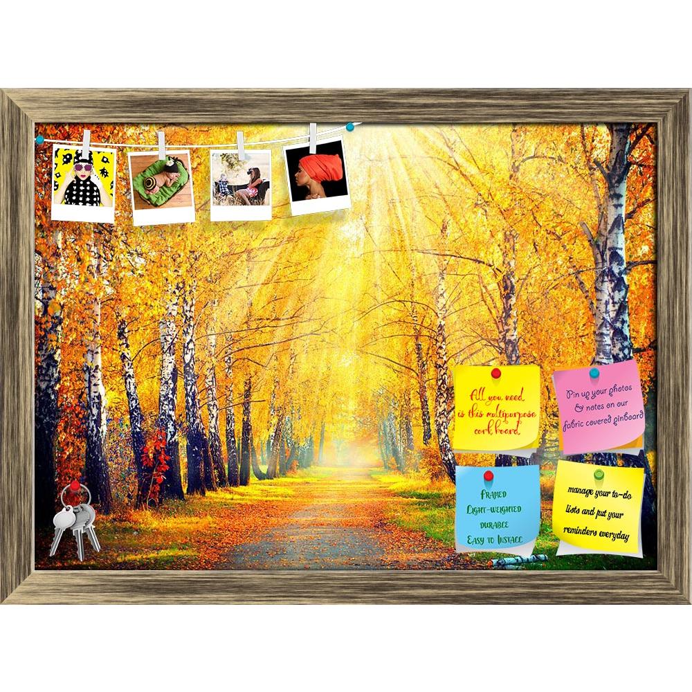 ArtzFolio Autumnal Trees In Sun Rays D3 Printed Bulletin Board Notice Pin Board Soft Board | Framed-Bulletin Boards Framed-AZSAO32077041BLB_FR_L-Image Code 5003846 Vishnu Image Folio Pvt Ltd, IC 5003846, ArtzFolio, Bulletin Boards Framed, Landscapes, Photography, autumnal, trees, in, sun, rays, d3, printed, bulletin, board, notice, pin, soft, framed, park, autumn, leaves, pin up board, push pin board, extra large cork board, big pin board, notice board, small bulletin board, cork board, wall notice board, g