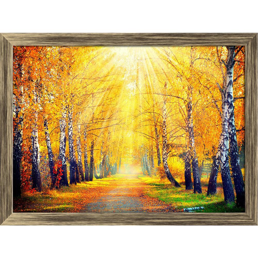 Pitaara Box Autumnal Trees In Sun Rays D3 Canvas Painting Synthetic Frame-Paintings Synthetic Framing-PBART32077041AFF_FW_L-Image Code 5003846 Vishnu Image Folio Pvt Ltd, IC 5003846, Pitaara Box, Paintings Synthetic Framing, Landscapes, Photography, autumnal, trees, in, sun, rays, d3, canvas, painting, synthetic, frame, park, autumn, leaves, framed canvas print, wall painting for living room with frame, canvas painting for living room, artzfolio, poster, framed canvas painting, wall painting with frame, can
