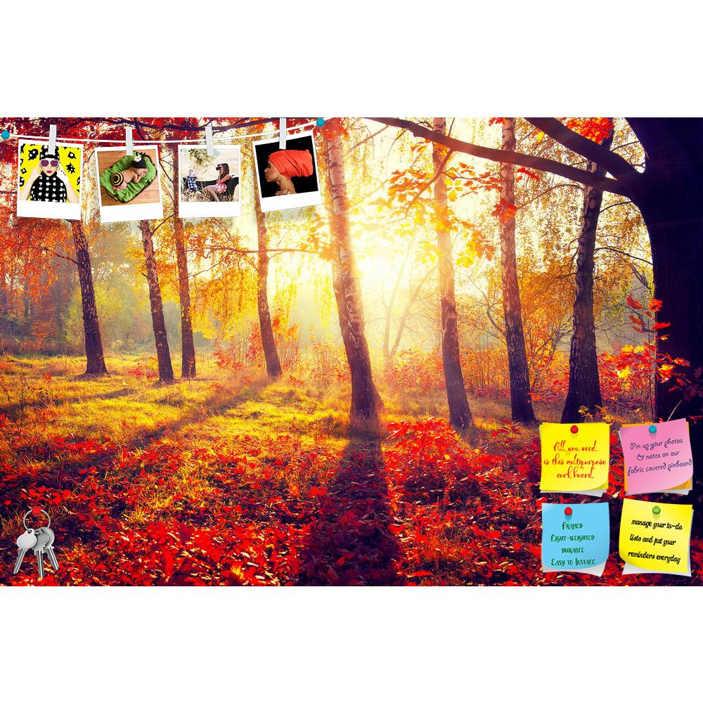 ArtzFolio Autumnal Trees In Sun Rays D4 Printed Bulletin Board Notice Pin Board Soft Board | Frameless-Bulletin Boards Frameless-AZSAO32077042BLB_FL_L-Image Code 5003847 Vishnu Image Folio Pvt Ltd, IC 5003847, ArtzFolio, Bulletin Boards Frameless, Landscapes, Photography, autumnal, trees, in, sun, rays, d4, printed, bulletin, board, notice, pin, soft, frameless, autumn, fall, pin up board, push pin board, extra large cork board, big pin board, notice board, small bulletin board, cork board, wall notice boar