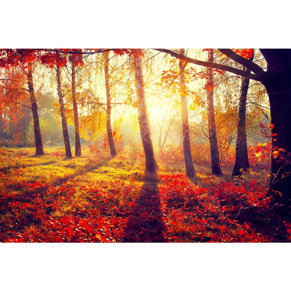 Autumnal Trees In Sun Rays Canvas Painting Synthetic Frame-Paintings MDF Framing-AFF_FR-IC 5003847 IC 5003847, Landscapes, Nature, Scenic, Seasons, Sunrises, Sunsets, Wooden, autumnal, trees, in, sun, rays, canvas, painting, synthetic, frame, forest, autumn, landscape, woods, tree, fall, forests, jungle, beautiful, bright, brown, calm, calmness, color, colorful, colour, colourful, environment, evening, foliage, fresh, golden, green, leaf, leaves, light, maple, morning, natural, oak, orange, outdoor, outside