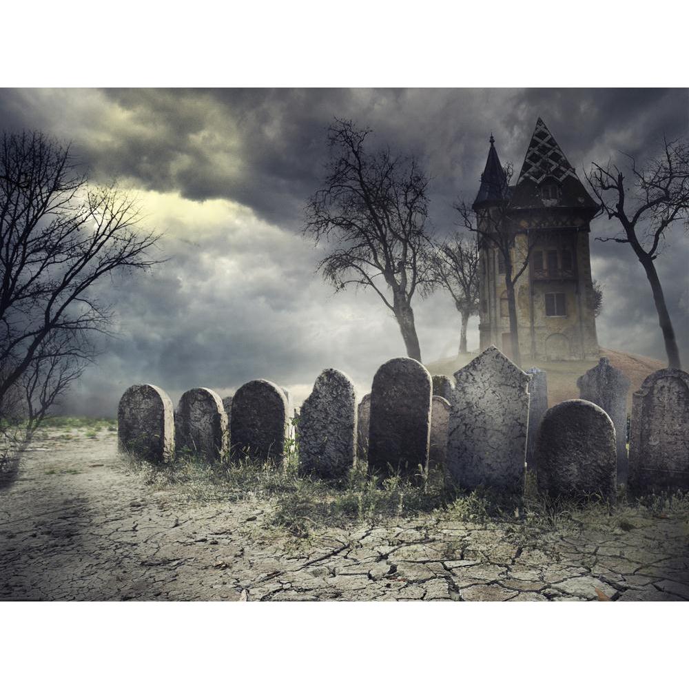 Hounted House On Spooky Graveyard Canvas Painting Synthetic Frame-Paintings MDF Framing-AFF_FR-IC 5003884 IC 5003884, Ancient, Art and Paintings, Black, Black and White, Fantasy, Gothic, Historical, Holidays, Marble and Stone, Medieval, Mountains, Seasons, Signs, Signs and Symbols, Vintage, hounted, house, on, spooky, graveyard, canvas, painting, synthetic, frame, halloween, cemetery, ghost, haunted, horror, cemeteries, art, scary, poster, silhouette, tree, ghosts, tombstone, abandoned, autumn, creepy, dark