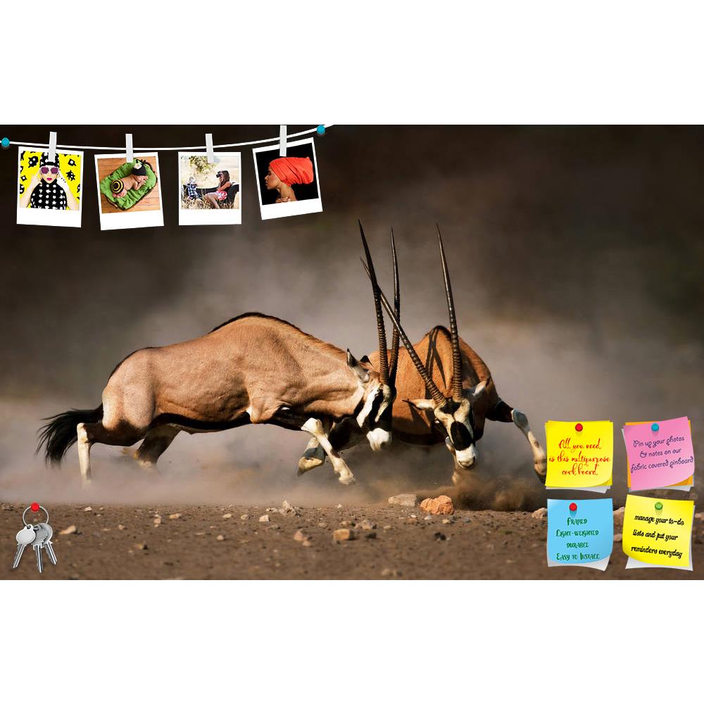 ArtzFolio Intense Fight Between Two Male Gemsbok In Etosha Printed Bulletin Board Notice Pin Board Soft Board | Frameless-Bulletin Boards Frameless-AZSAO32578837BLB_FL_L-Image Code 5003887 Vishnu Image Folio Pvt Ltd, IC 5003887, ArtzFolio, Bulletin Boards Frameless, Animals, Photography, intense, fight, between, two, male, gemsbok, in, etosha, printed, bulletin, board, notice, pin, soft, frameless, dual, action, active, africa, african, aggression, aggressive, aggressiveness, animal, antelope, battle, commo