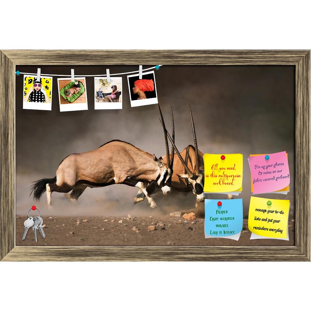 ArtzFolio Intense Fight Between Two Male Gemsbok In Etosha Printed Bulletin Board Notice Pin Board Soft Board | Framed-Bulletin Boards Framed-AZSAO32578837BLB_FR_L-Image Code 5003887 Vishnu Image Folio Pvt Ltd, IC 5003887, ArtzFolio, Bulletin Boards Framed, Animals, Photography, intense, fight, between, two, male, gemsbok, in, etosha, printed, bulletin, board, notice, pin, soft, framed, dual, action, active, africa, african, aggression, aggressive, aggressiveness, animal, antelope, battle, commotion, danger