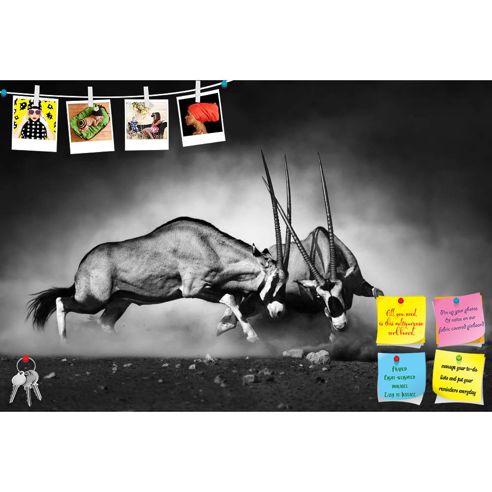 ArtzFolio Gemsbok Dual Printed Bulletin Board Notice Pin Board Soft Board | Frameless-Bulletin Boards Frameless-AZSAO32578838BLB_FL_L-Image Code 5003888 Vishnu Image Folio Pvt Ltd, IC 5003888, ArtzFolio, Bulletin Boards Frameless, Animals, Photography, gemsbok, dual, printed, bulletin, board, notice, pin, soft, frameless, fight, two, action, active, africa, black, white, monochrome, art, artistic, african, aggression, aggressive, aggressiveness, animal, antelope, battle, commotion, dangerous, desert, domina