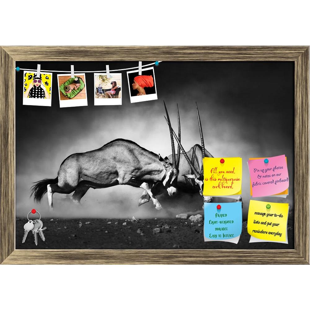 ArtzFolio Gemsbok Dual Printed Bulletin Board Notice Pin Board Soft Board | Framed-Bulletin Boards Framed-AZSAO32578838BLB_FR_L-Image Code 5003888 Vishnu Image Folio Pvt Ltd, IC 5003888, ArtzFolio, Bulletin Boards Framed, Animals, Photography, gemsbok, dual, printed, bulletin, board, notice, pin, soft, framed, fight, two, action, active, africa, black, white, monochrome, art, artistic, african, aggression, aggressive, aggressiveness, animal, antelope, battle, commotion, dangerous, desert, domination, dust, 