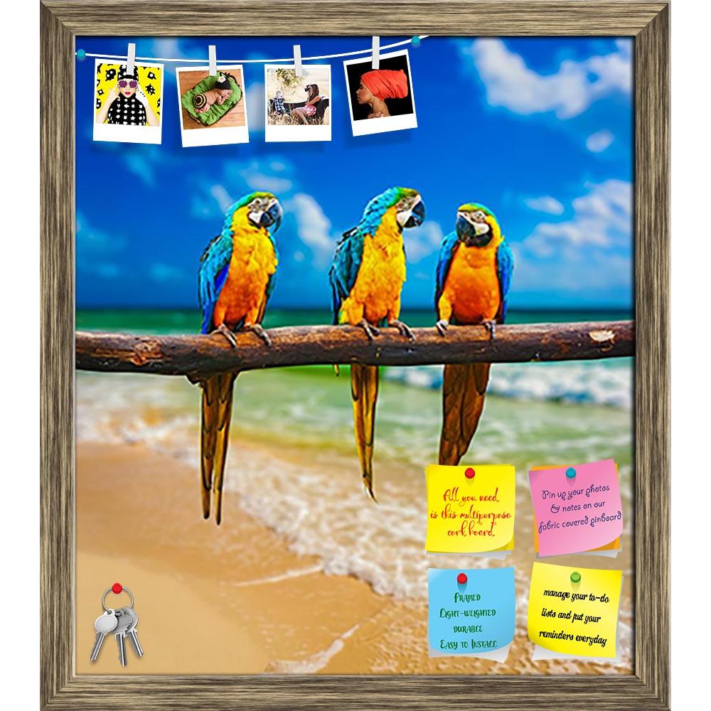 ArtzFolio Parrots On Beach Printed Bulletin Board Notice Pin Board Soft Board | Framed-Bulletin Boards Framed-AZSAO32756658BLB_FR_L-Image Code 5003903 Vishnu Image Folio Pvt Ltd, IC 5003903, ArtzFolio, Bulletin Boards Framed, Birds, Photography, parrots, on, beach, printed, bulletin, board, notice, pin, soft, framed, blue-and-yellow, macaw, caribbean, mexico, summer, avain, aves, avian, blue, branch, bright, clean, coast, color, colorful, colour, colourful, day, exotic, horizon, idyllic, nature, nobody, oce