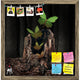 Sticky Image