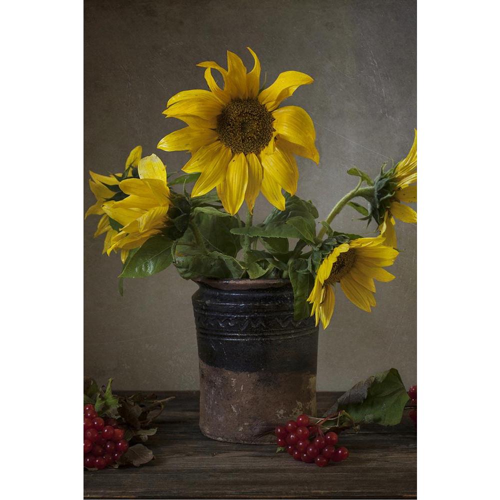 ArtzFolio White Sunflowers Unframed Paper Poster-Paper Posters Unframed-AZART32994493POS_UN_L-Image Code 5003925 Vishnu Image Folio Pvt Ltd, IC 5003925, ArtzFolio, Paper Posters Unframed, Floral, Still Life, Photography, white, sunflowers, unframed, paper, poster, wall, large, size, for, living, room, home, decoration, big, framed, decor, posters, pitaara, box, modern, art, with, frame, bedroom, amazonbasics, door, drawing, small, decorative, office, reception, multiple, friends, images, reprints, reprint, 