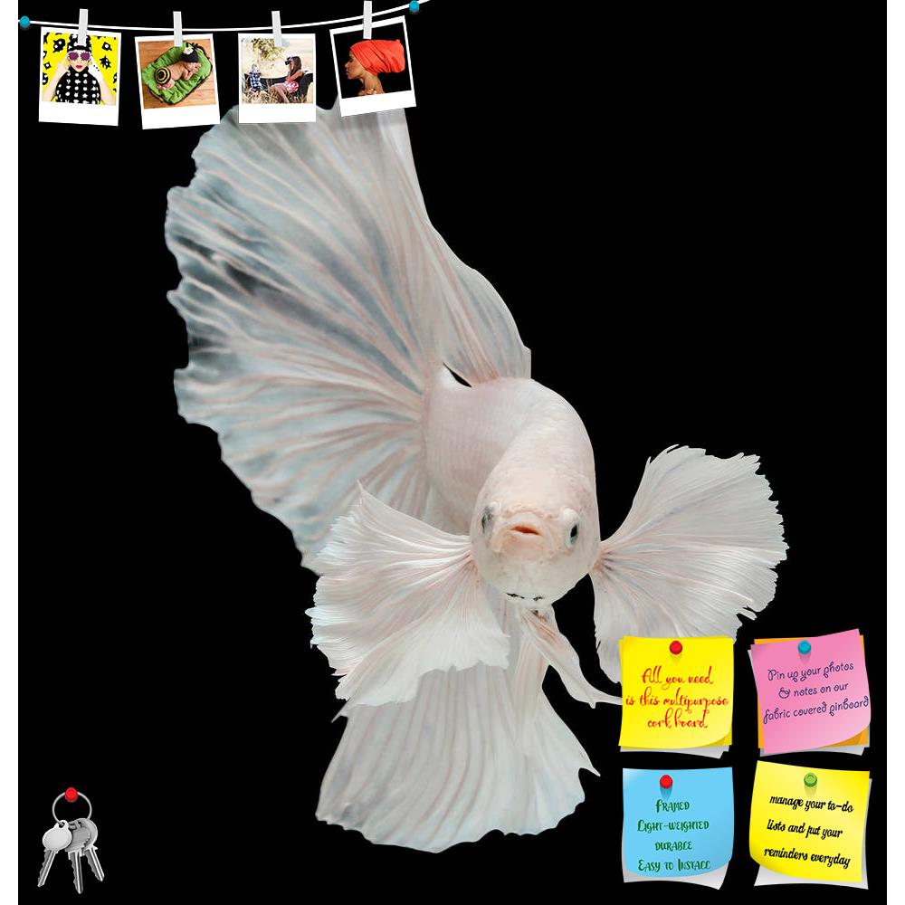 ArtzFolio Betta Big Ear Printed Bulletin Board Notice Pin Board Soft Board | Frameless-Bulletin Boards Frameless-AZSAO33003521BLB_FL_L-Image Code 5003926 Vishnu Image Folio Pvt Ltd, IC 5003926, ArtzFolio, Bulletin Boards Frameless, Animals, Photography, betta, big, ear, printed, bulletin, board, notice, pin, soft, frameless, isolated, black, background, action, aggressive, animal, aquarium, aquatic, beautiful, beauty, biology, blue, color, domestic, dress, fighting, fish, flame, luxury, nature, pet, siamese