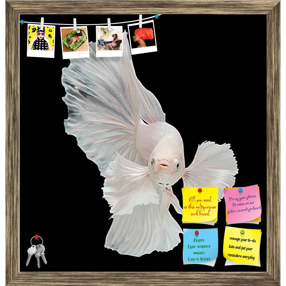ArtzFolio Betta Big Ear Printed Bulletin Board Notice Pin Board Soft Board | Framed-Bulletin Boards Framed-AZSAO33003521BLB_FR_L-Image Code 5003926 Vishnu Image Folio Pvt Ltd, IC 5003926, ArtzFolio, Bulletin Boards Framed, Animals, Photography, betta, big, ear, printed, bulletin, board, notice, pin, soft, framed, isolated, black, background, action, aggressive, animal, aquarium, aquatic, beautiful, beauty, biology, blue, color, domestic, dress, fighting, fish, flame, luxury, nature, pet, siamese, tail, trop
