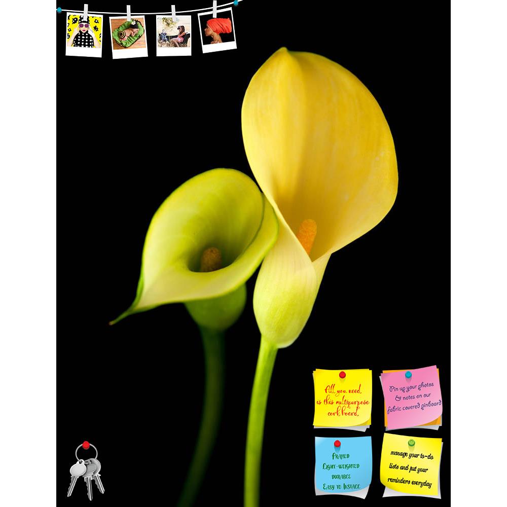 ArtzFolio Yellow Calla Lily Flower Printed Bulletin Board Notice Pin Board Soft Board | Frameless-Bulletin Boards Frameless-AZSAO33173858BLB_FL_L-Image Code 5003945 Vishnu Image Folio Pvt Ltd, IC 5003945, ArtzFolio, Bulletin Boards Frameless, Floral, Photography, yellow, calla, lily, flower, printed, bulletin, board, notice, pin, soft, frameless, islolated, black, background, flora, flowering, bloom, blossom, plant, life, beauty, in, nature, beautiful, fresh, freshness, isolated, on, cut, out, cutout, cut-o