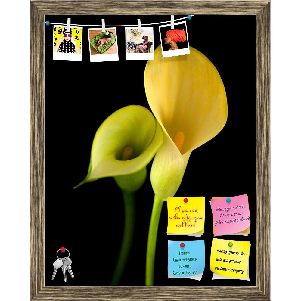 ArtzFolio Yellow Calla Lily Flower Printed Bulletin Board Notice Pin Board Soft Board | Framed-Bulletin Boards Framed-AZSAO33173858BLB_FR_L-Image Code 5003945 Vishnu Image Folio Pvt Ltd, IC 5003945, ArtzFolio, Bulletin Boards Framed, Floral, Photography, yellow, calla, lily, flower, printed, bulletin, board, notice, pin, soft, framed, islolated, black, background, flora, flowering, bloom, blossom, plant, life, beauty, in, nature, beautiful, fresh, freshness, isolated, on, cut, out, cutout, cut-out, nobody, 