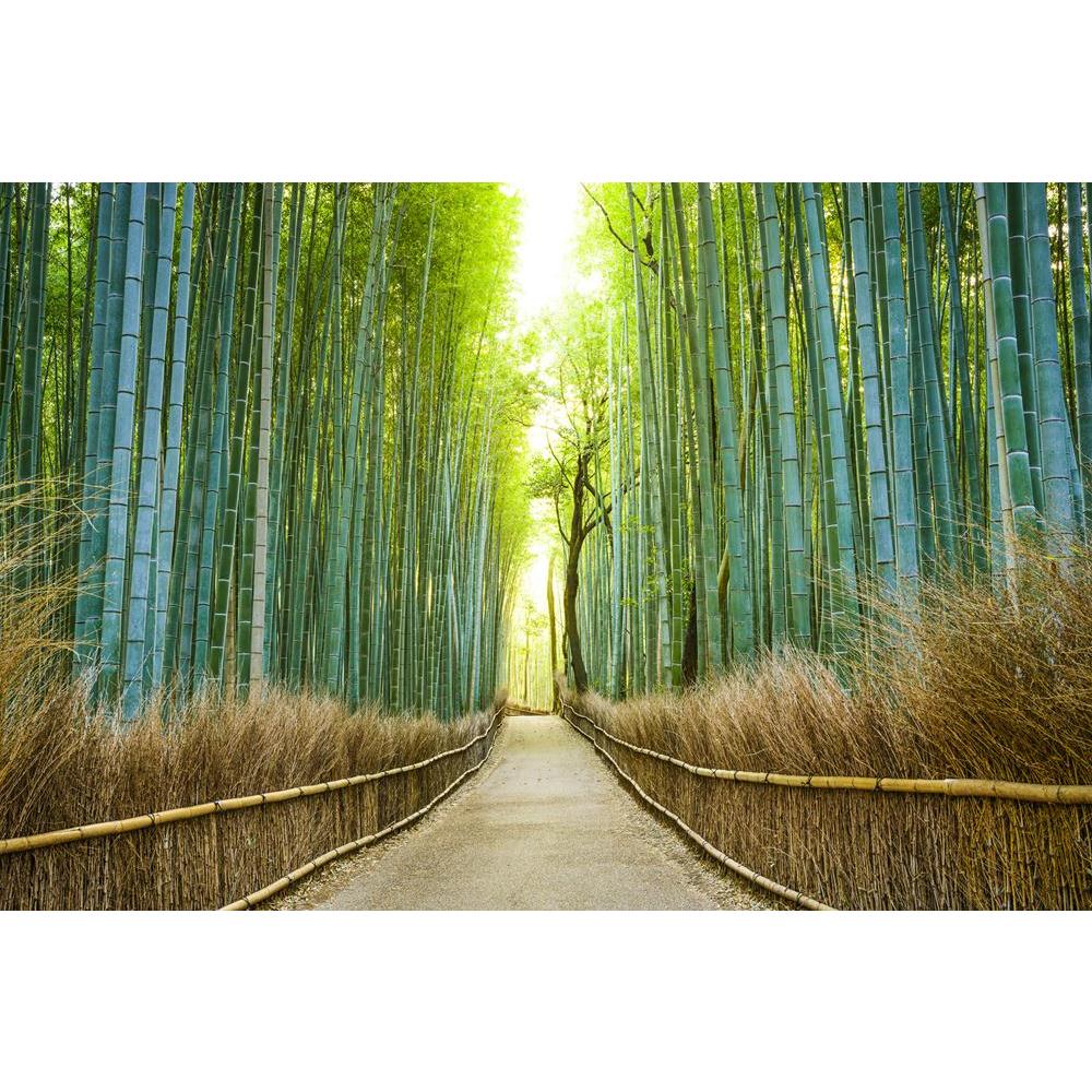 Pitaara Box Kyoto Japan Bamboo Forest Canvas Painting Synthetic Frame-Paintings MDF Framing-PBART33213359AFF_FR_L-Image Code 5003951 Vishnu Image Folio Pvt Ltd, IC 5003951, Pitaara Box, Paintings MDF Framing, Places, Photography, kyoto, japan, bamboo, forest, canvas, painting, synthetic, frame, street, narrow, passage, nobody, natural, park, green, view, kansai, day, arashiyama, trees, landmark, scenery, chikurin, fence, morning, woods, serene, historic, sagano, outdoors, scenic, dawn, daytime, scene, path,