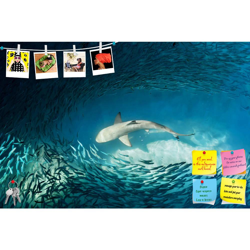 ArtzFolio Shark & Small Fishes Printed Bulletin Board Notice Pin Board Soft Board | Frameless-Bulletin Boards Frameless-AZSAO33277562BLB_FL_L-Image Code 5003968 Vishnu Image Folio Pvt Ltd, IC 5003968, ArtzFolio, Bulletin Boards Frameless, Animals, Kids, Photography, shark, small, fishes, printed, bulletin, board, notice, pin, soft, frameless, ocean, nature, background, fish, dangerous, leader, leadership, danger, jaws, sea, wild, white, water, great, attack, fin, hero, individuality, crowd, fierce, swimming