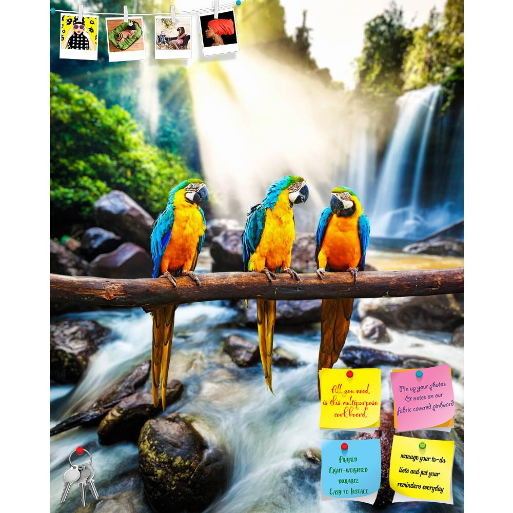 ArtzFolio Blue & Yellow Macaw D2 Printed Bulletin Board Notice Pin Board Soft Board | Frameless-Bulletin Boards Frameless-AZSAO34216709BLB_FL_L-Image Code 5004047 Vishnu Image Folio Pvt Ltd, IC 5004047, ArtzFolio, Bulletin Boards Frameless, Birds, Landscapes, Photography, blue, yellow, macaw, d2, printed, bulletin, board, notice, pin, soft, frameless, blue-and-yellow, ara, ararauna, parrot, parrots, wildlife, waterfall, animal, animals, avain, aves, bird, blurred, branch, bright, color, colorful, colour, co