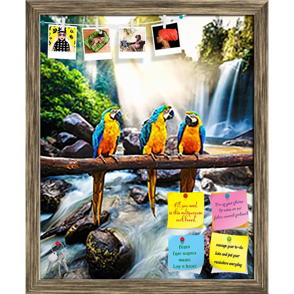 ArtzFolio Blue & Yellow Macaw D2 Printed Bulletin Board Notice Pin Board Soft Board | Framed-Bulletin Boards Framed-AZSAO34216709BLB_FR_L-Image Code 5004047 Vishnu Image Folio Pvt Ltd, IC 5004047, ArtzFolio, Bulletin Boards Framed, Birds, Landscapes, Photography, blue, yellow, macaw, d2, printed, bulletin, board, notice, pin, soft, framed, blue-and-yellow, ara, ararauna, parrot, parrots, wildlife, waterfall, animal, animals, avain, aves, bird, blurred, branch, bright, color, colorful, colour, colourful, cre