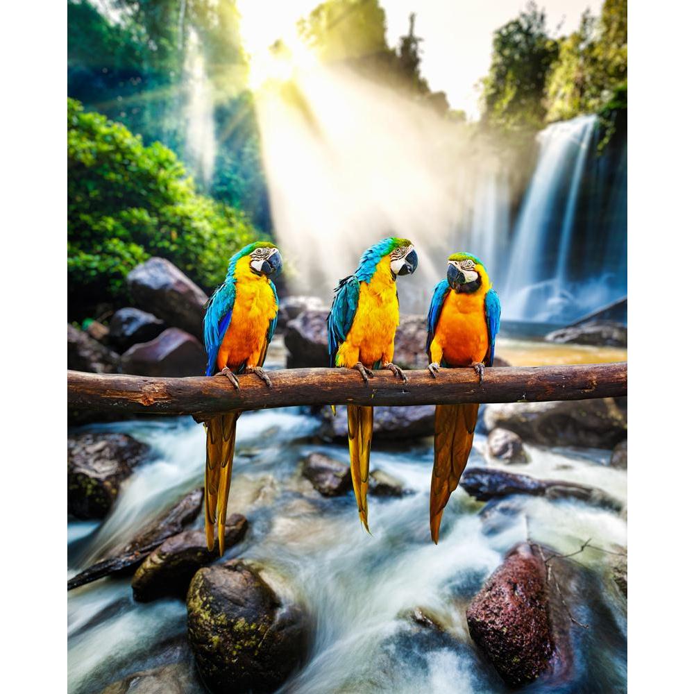 Blue & Yellow Macaw Canvas Painting Synthetic Frame-Paintings MDF Framing-AFF_FR-IC 5004047 IC 5004047, Animals, Birds, Nature, Scenic, Tropical, Wildlife, blue, yellow, macaw, canvas, painting, synthetic, frame, parrot, animal, waterfall, parrots, jungle, waterfalls, colorful, ara, ararauna, aves, beauty, in, bird, and, blurred, motion, branch, bright, color, colour, colourful, creature, creatures, day, daytime, forest, idyllic, jungles, peaceful, rain, rainforest, serene, skies, sky, sun, rays, sunlight, 