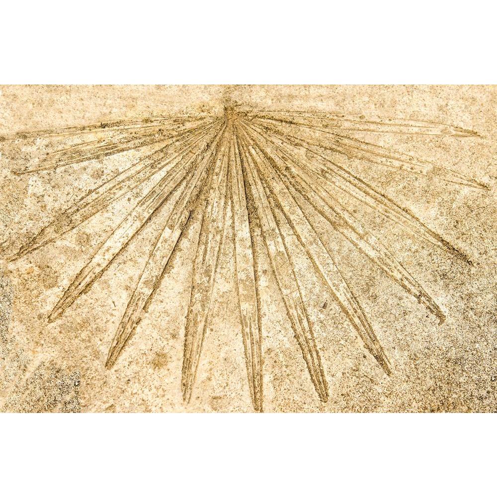 Leaf Imprint Canvas Painting Synthetic Frame-Paintings MDF Framing-AFF_FR-IC 5004084 IC 5004084, Ancient, Architecture, Culture, Ethnic, Historical, Marble, Marble and Stone, Medieval, Solid, Traditional, Tribal, Vintage, World Culture, leaf, imprint, canvas, painting, synthetic, frame, aging, backdrop, beautiful, brick, brown, castle, cement, close, up, concrete, construction, detail, dinosaur, exterior, facade, floor, foliage, fossil, fossilized, history, marks, natural, old, plant, rock, rough, sand, san