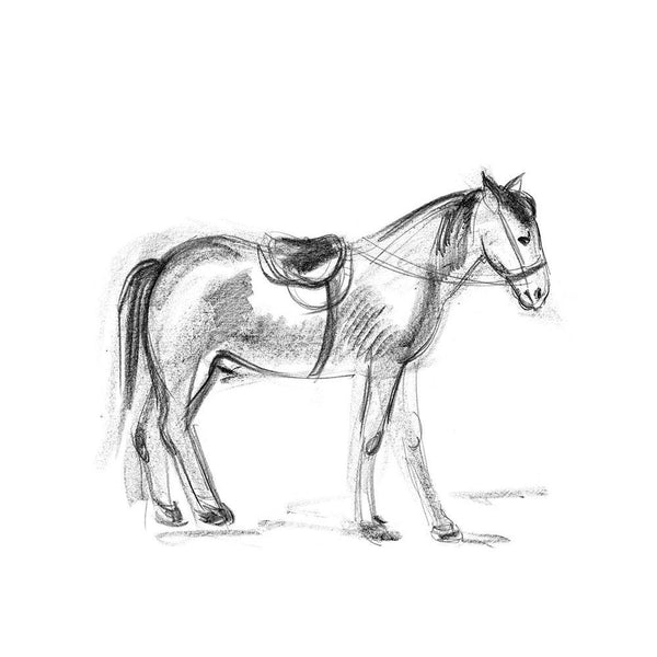 Horse D2 Unframed Paper Poster-Paper Posters Unframed-POS_UN-IC 5004105 IC 5004105, Ancient, Animals, Black, Black and White, Digital, Digital Art, Drawing, Education, Graphic, Hand Drawn, Historical, Illustrations, Medieval, Schools, Sketches, Sports, Universities, Vintage, White, horse, d2, unframed, paper, wall, poster, anatomy, animal, arabian, artistic, artwork, beautiful, bridle, charcoal, creative, draw, equestrian, equine, expression, farm, freehand, hand, drawn, handmade, hoofed, illustration, lear