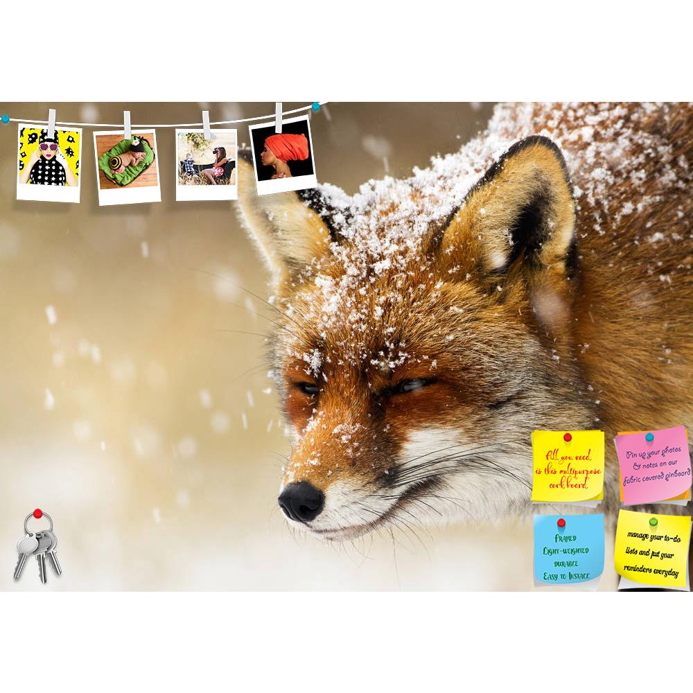 ArtzFolio Red Fox Winter Portrait Printed Bulletin Board Notice Pin Board Soft Board | Frameless-Bulletin Boards Frameless-AZSAO35034162BLB_FL_L-Image Code 5004115 Vishnu Image Folio Pvt Ltd, IC 5004115, ArtzFolio, Bulletin Boards Frameless, Animals, Photography, red, fox, winter, portrait, printed, bulletin, board, notice, pin, soft, frameless, pin up board, push pin board, extra large cork board, big pin board, notice board, small bulletin board, cork board, wall notice board, giant cork board, bulletin b