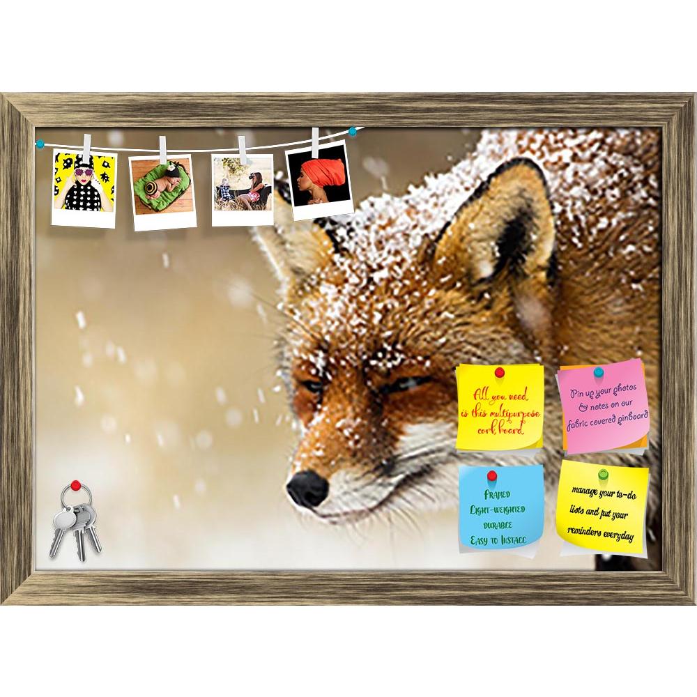 ArtzFolio Red Fox Winter Portrait Printed Bulletin Board Notice Pin Board Soft Board | Framed-Bulletin Boards Framed-AZSAO35034162BLB_FR_L-Image Code 5004115 Vishnu Image Folio Pvt Ltd, IC 5004115, ArtzFolio, Bulletin Boards Framed, Animals, Photography, red, fox, winter, portrait, printed, bulletin, board, notice, pin, soft, framed, pin up board, push pin board, extra large cork board, big pin board, notice board, small bulletin board, cork board, wall notice board, giant cork board, bulletin board, office