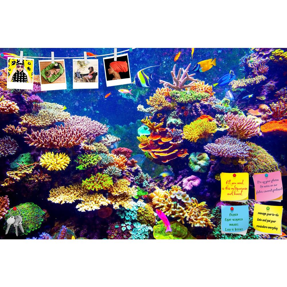 ArtzFolio Coral Reef & Tropical Fish In Sunlight Printed Bulletin Board Notice Pin Board Soft Board | Frameless-Bulletin Boards Frameless-AZSAO35304339BLB_FL_L-Image Code 5004133 Vishnu Image Folio Pvt Ltd, IC 5004133, ArtzFolio, Bulletin Boards Frameless, Animals, Kids, Photography, coral, reef, tropical, fish, in, sunlight, printed, bulletin, board, notice, pin, soft, frameless, singapore, aquarium, animal, aquatic, bahamas, blue, bubbles, caribbean, colony, colorful, dive, diver, dream, egypt, exotic, ex