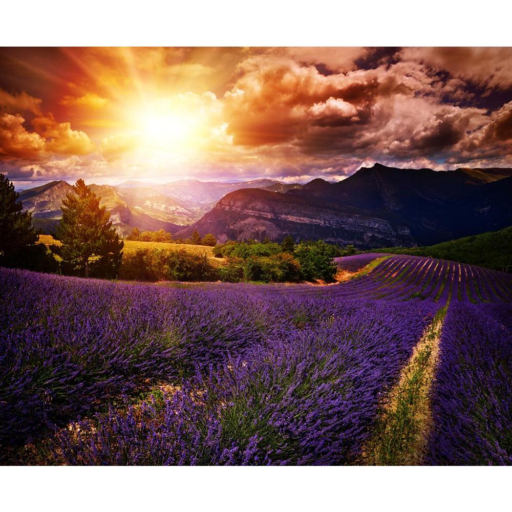 Lavender Field Summer Sunset Landscape Canvas Painting Synthetic Frame-Paintings MDF Framing-AFF_FR-IC 5004353 IC 5004353, Landscapes, Nature, Scenic, Sunsets, lavender, field, summer, sunset, landscape, canvas, painting, synthetic, frame, beautiful, fields, oil, aromatherapy, beauty, clouds, color, colorful, crop, dusk, essential, evening, golden, growth, harvest, herbaceous, lines, mauve, natural, perennial, purple, shrub, sky, sundown, vibrant, violet, vivid, artzfolio, wall decor for living room, wall f