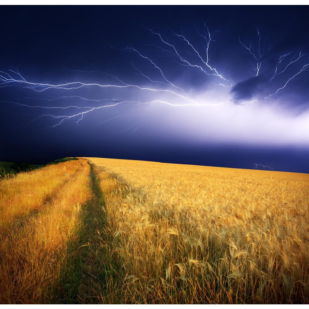 Summer Storm Canvas Painting Synthetic Frame-Paintings MDF Framing-AFF_FR-IC 5004450 IC 5004450, Botanical, Cities, City Views, Countries, Culture, Ethnic, Floral, Flowers, Landscapes, Nature, Rural, Scenic, Seasons, Traditional, Tribal, Wildlife, World Culture, summer, storm, canvas, painting, synthetic, frame, agriculture, autumn, beautiful, bolt, bright, climate, cloud, color, cornfield, country, countryside, danger, dazzle, ecology, electricity, energy, environment, farm, field, flash, flora, fresh, ill