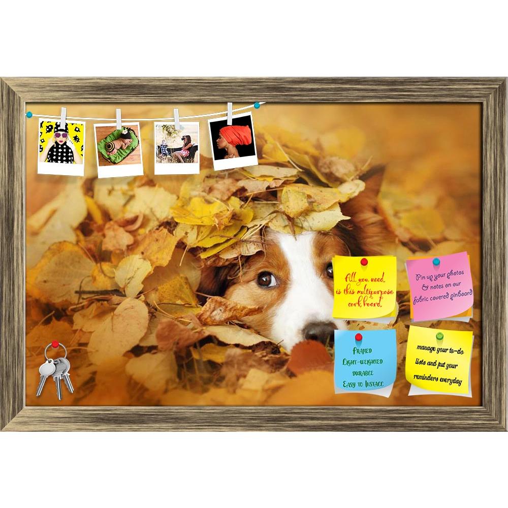 ArtzFolio Dog Playing With Leaves In Autumn Printed Bulletin Board Notice Pin Board Soft Board | Framed-Bulletin Boards Framed-AZSAO38620575BLB_FR_L-Image Code 5004528 Vishnu Image Folio Pvt Ltd, IC 5004528, ArtzFolio, Bulletin Boards Framed, Animals, Kids, Photography, dog, playing, with, leaves, in, autumn, printed, bulletin, board, notice, pin, soft, framed, young, red, border, collie, face, pet, fall, walk, outdoor, fun, cute, beautiful, colorful, outside, lovely, close, yellow, dream, adorable, yard, g