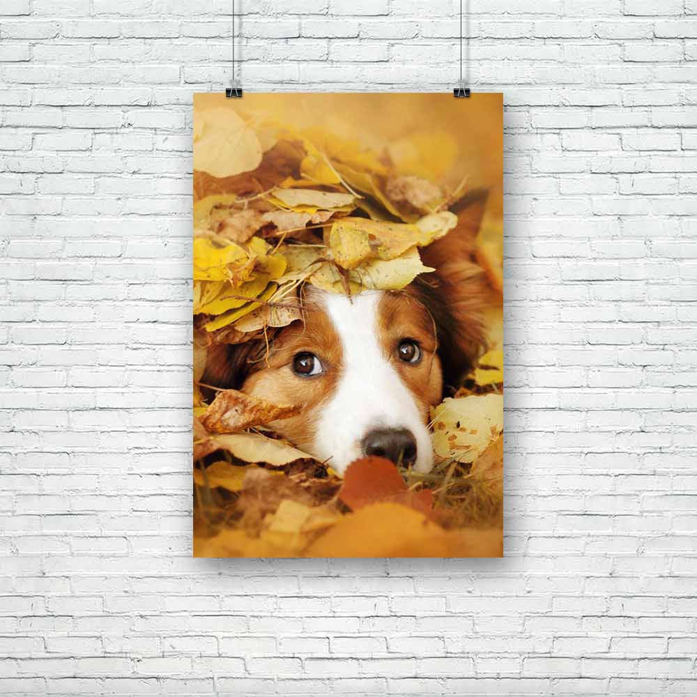 Dog Playing With Leaves Unframed Paper Poster-Paper Posters Unframed-POS_UN-IC 5004528 IC 5004528, Animals, Individuals, Nature, Pets, Portraits, Scenic, Seasons, Sports, dog, playing, with, leaves, unframed, paper, poster, autumn, fall, dogs, puppies, funny, border, fun, collie, puppy, action, adorable, animal, beautiful, bright, canine, close, colorful, coming, cute, domestic, dream, face, friend, friendly, game, happy, head, lawn, leaf, lovely, lying, outdoor, outside, park, pet, playful, portrait, pose,