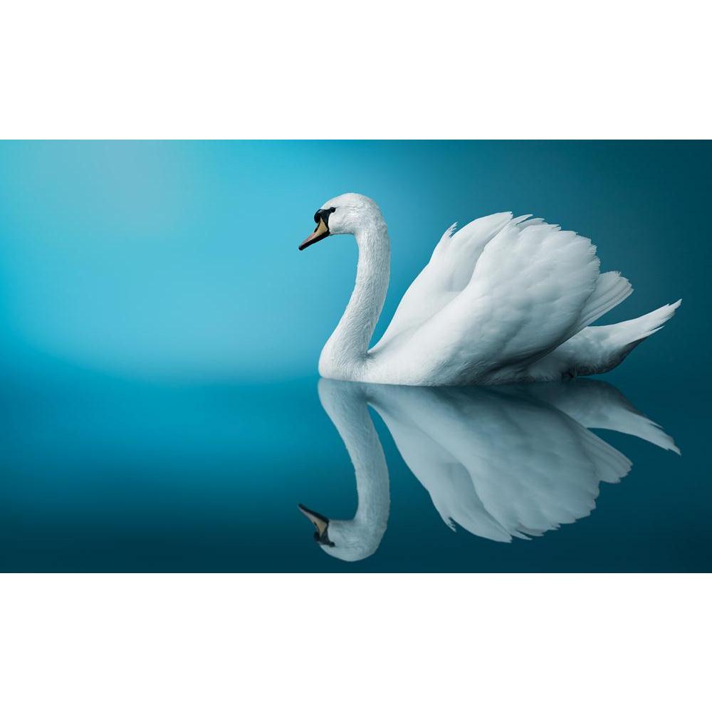 Pitaara Box Fantastic Swan Canvas Painting Synthetic Frame-Paintings MDF Framing-PBART39540623AFF_FR_L-Image Code 5004616 Vishnu Image Folio Pvt Ltd, IC 5004616, Pitaara Box, Paintings MDF Framing, Birds, Photography, fantastic, swan, canvas, painting, synthetic, frame, blue, background, copy, space, beautiful, digital, graceful, haze, lake, mist, monochromatic, morning, peaceful, purity, reflections, sunrise, white, zzzaaeaaajejenehfpdbdidddbdb, framed canvas print, wall painting for living room with frame