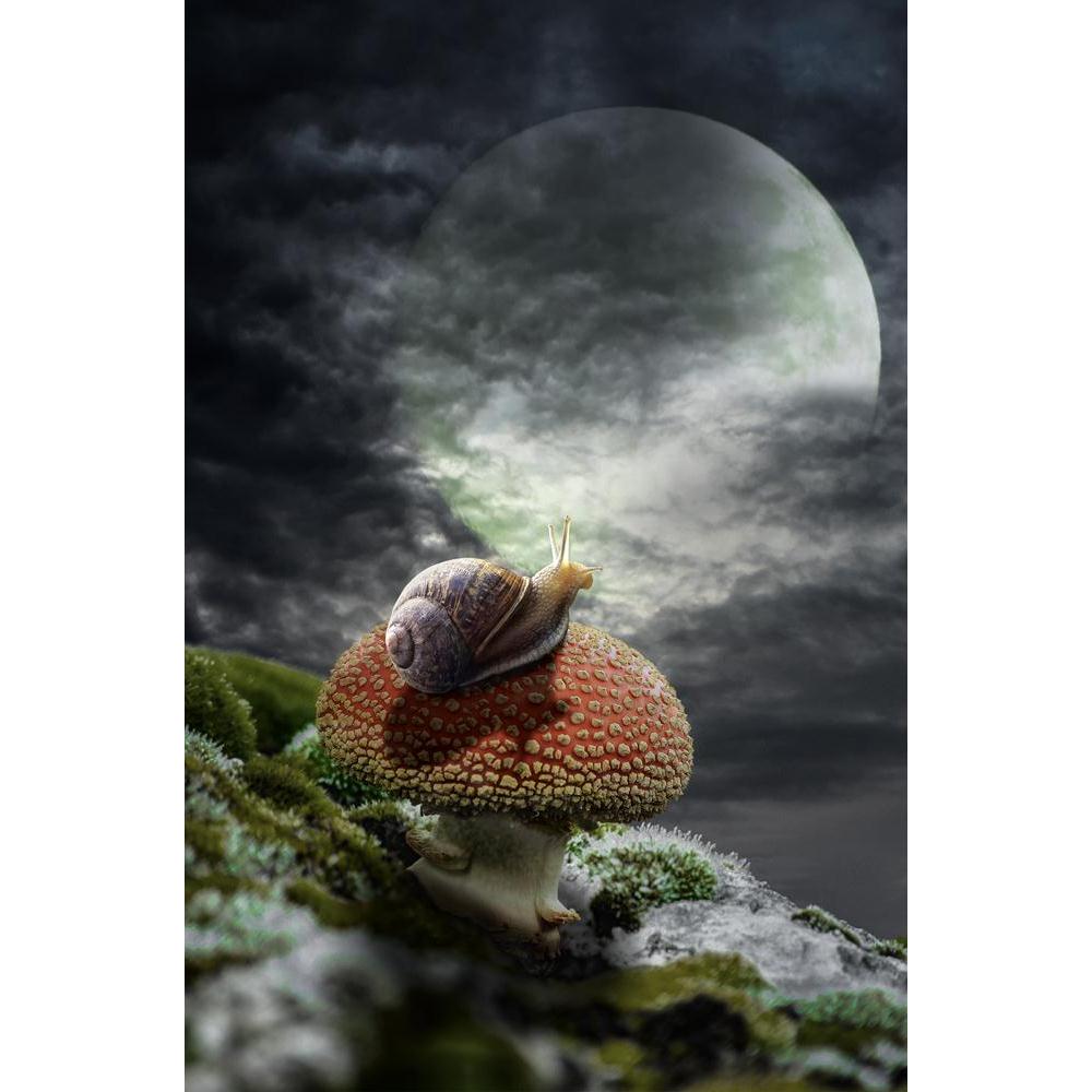 Fairy House Canvas Painting Synthetic Frame-Paintings MDF Framing-AFF_FR-IC 5004624 IC 5004624, Collages, Fantasy, Futurism, Illustrations, Science Fiction, Space, fairy, house, canvas, painting, synthetic, frame, adoption, clouds, collage, concentration, condition, contemplation, countryside, dream, dusk, experience, feelings, fiction, full, moon, future, ghost, illusion, illustration, inner, knowledge, lawn, loneliness, manipulation, meadow, moonlight, mushroom, mystery, night, past, philosopher, philosop