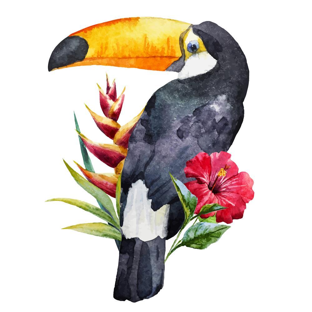 Pitaara Box Beautiful Toucan With Flowers Peel & Stick Vinyl Wall Sticker-Laminated Wall Stickers-PBART40001597LAM_UN_L-Image Code 5004656 Vishnu Image Folio Pvt Ltd, IC 5004656, Pitaara Box, Laminated Wall Stickers, Birds, Digital Art, beautiful, toucan, with, flowers, peel, stick, vinyl, wall, sticker, image, nice, watercolor, wall sticker for bedroom, large size wall decal, wall sticker for drawing room, living room wall sticker decal, artzfolio, decorative wall sticker decal, big size wall sticker, wate